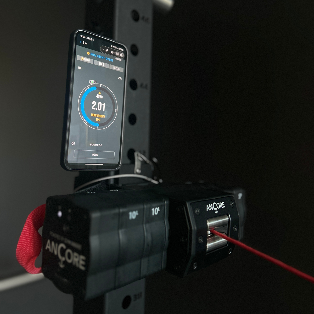 Pro Data Bundle – ANCORE