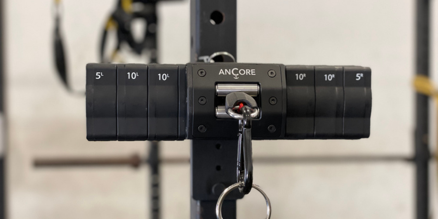 Five things to know about ANCORE Pro
