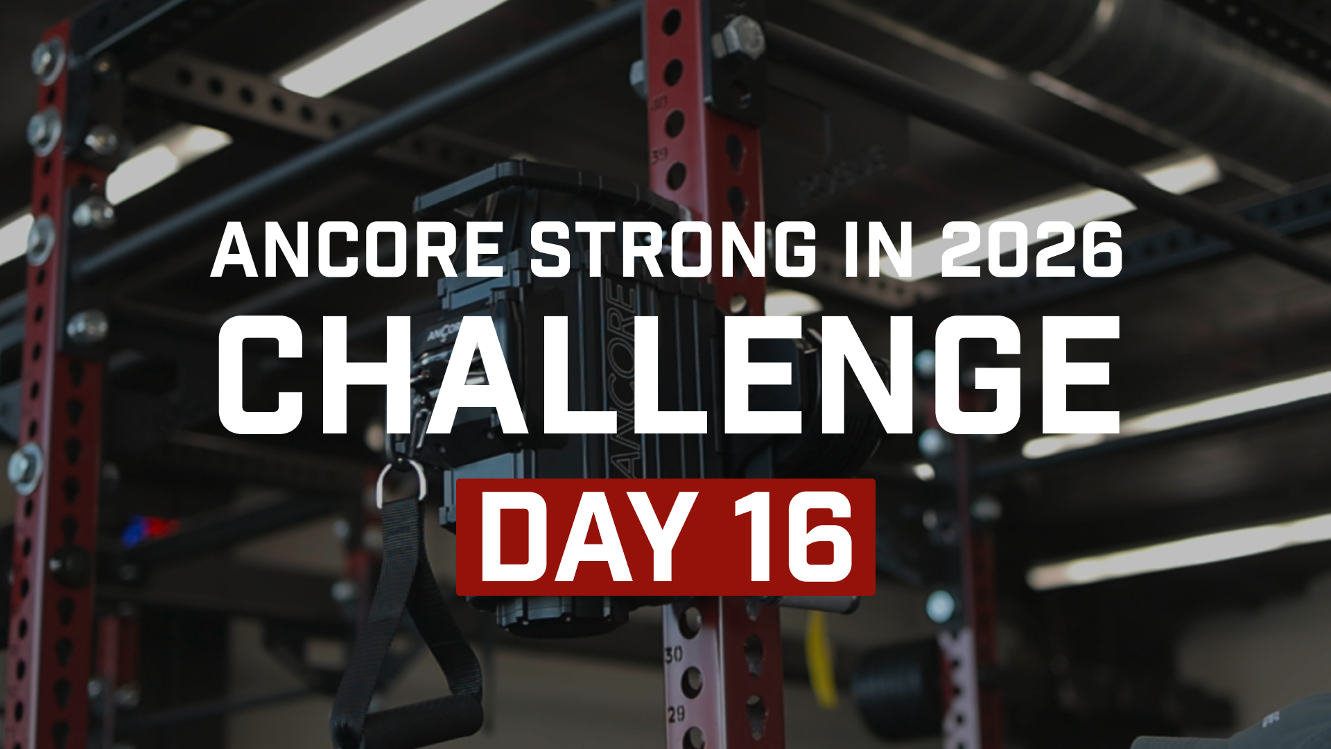 Day 16: A Two-Part Workout