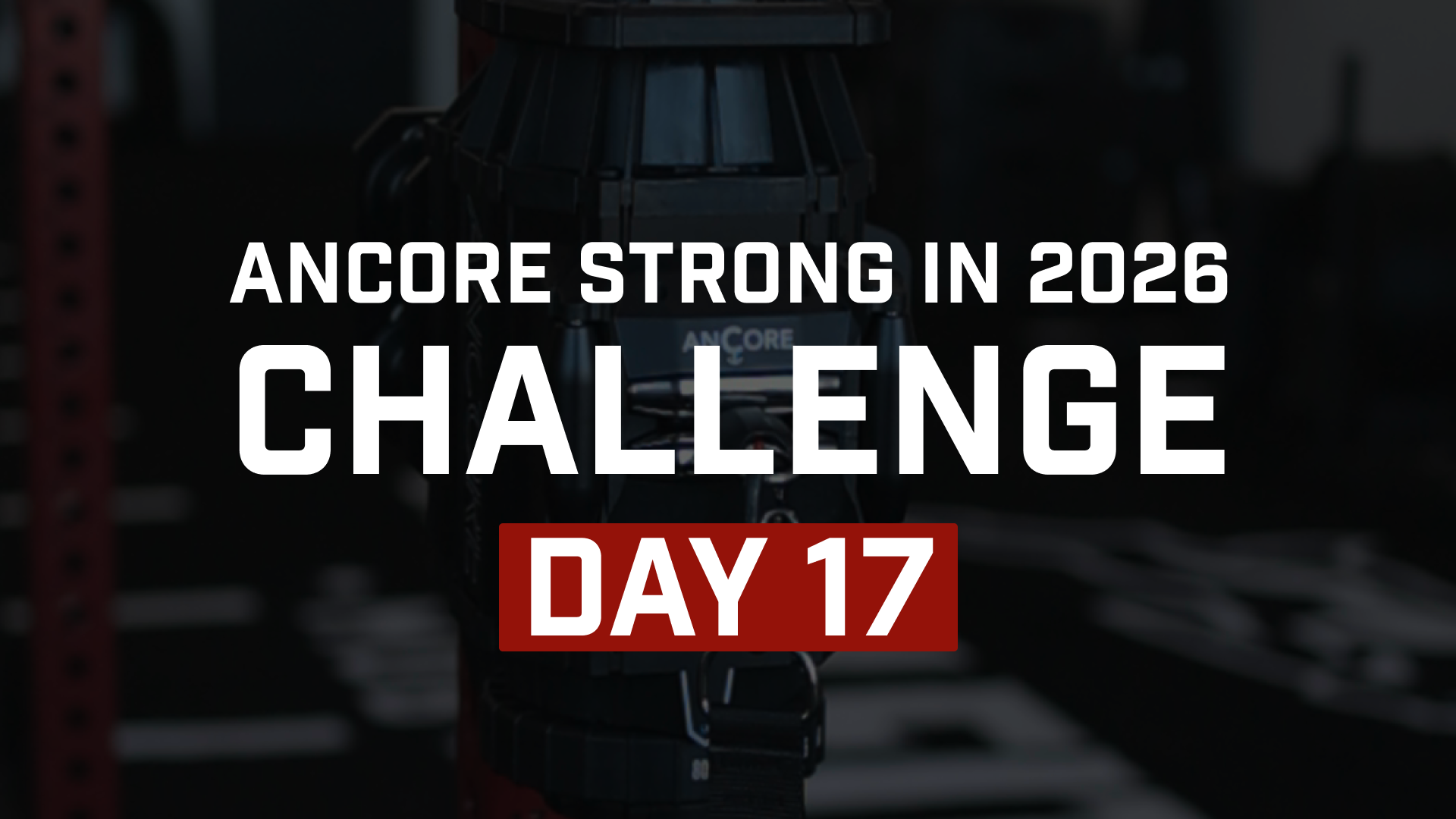 Day 17: One Rep at a Time