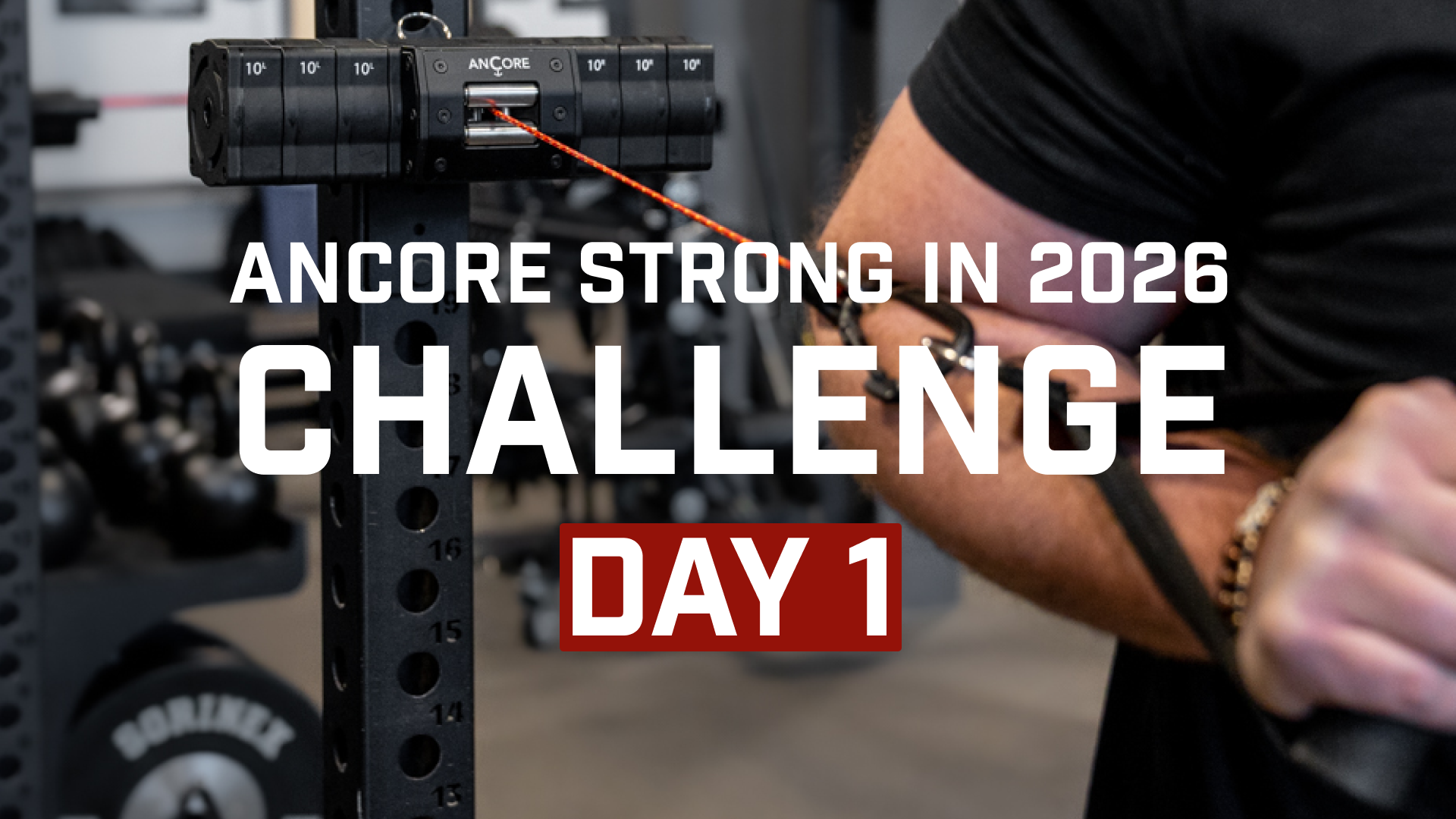 Day 1: 30-Min Full-Body Workout