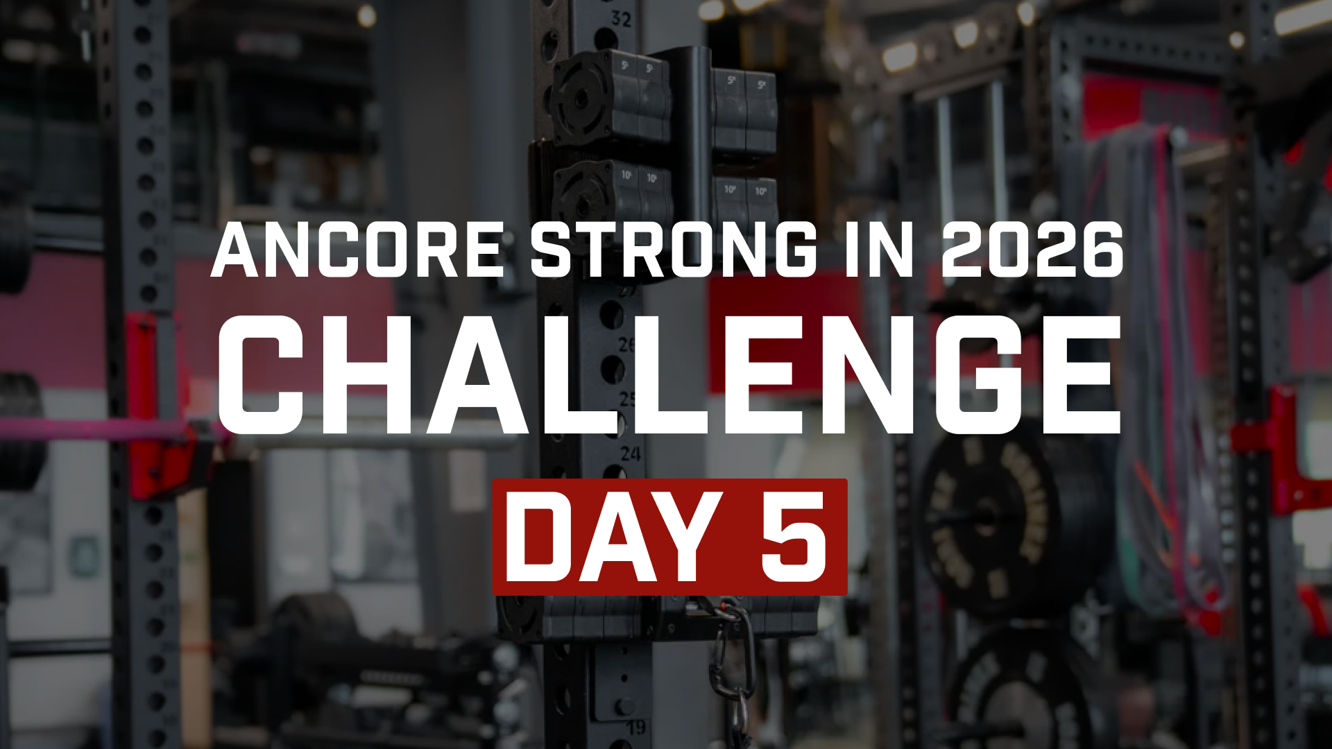 Day 5: Stay Sharp 20-Minute Full-Body Workout