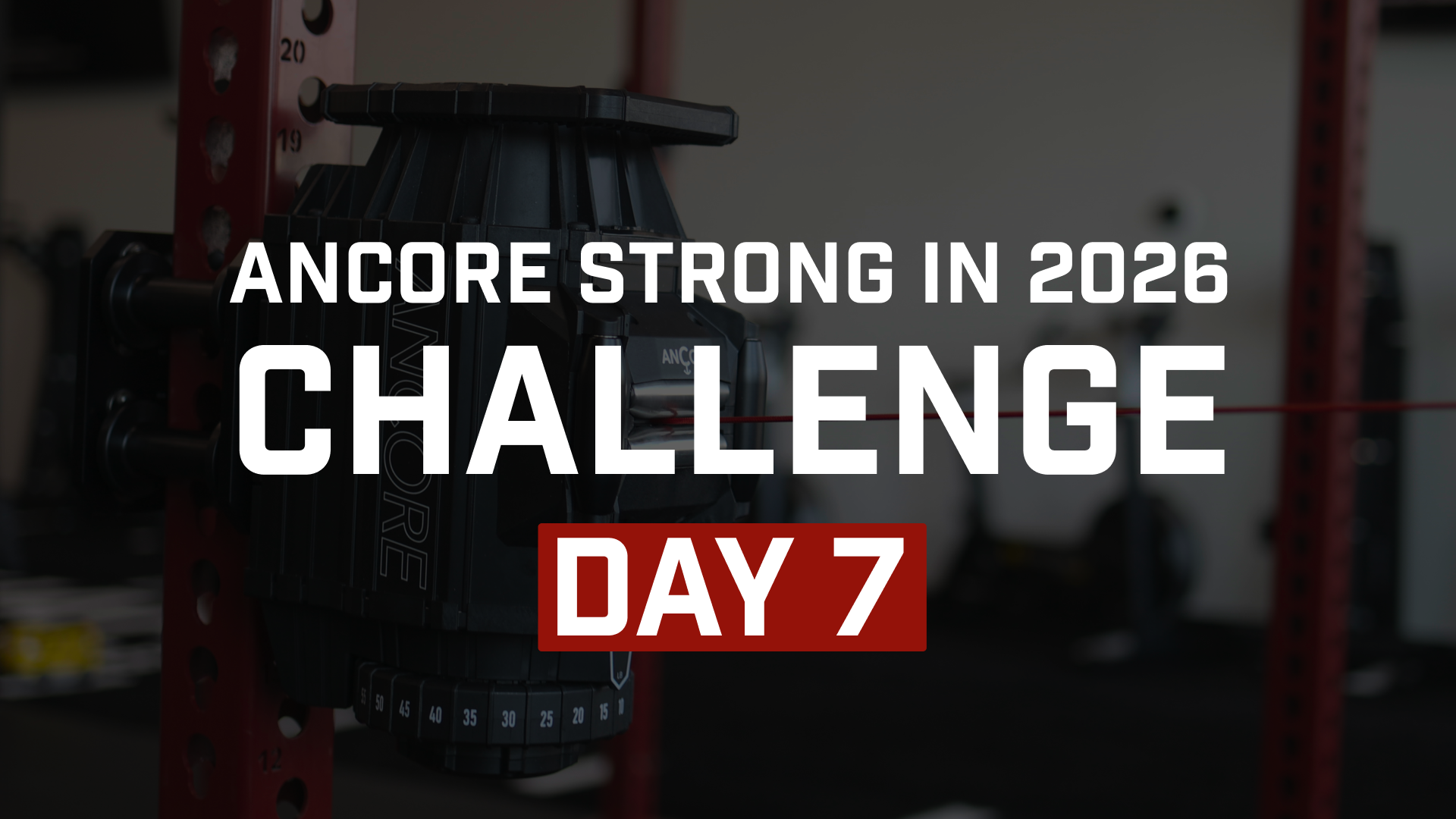 Day 7: Stability Under Load