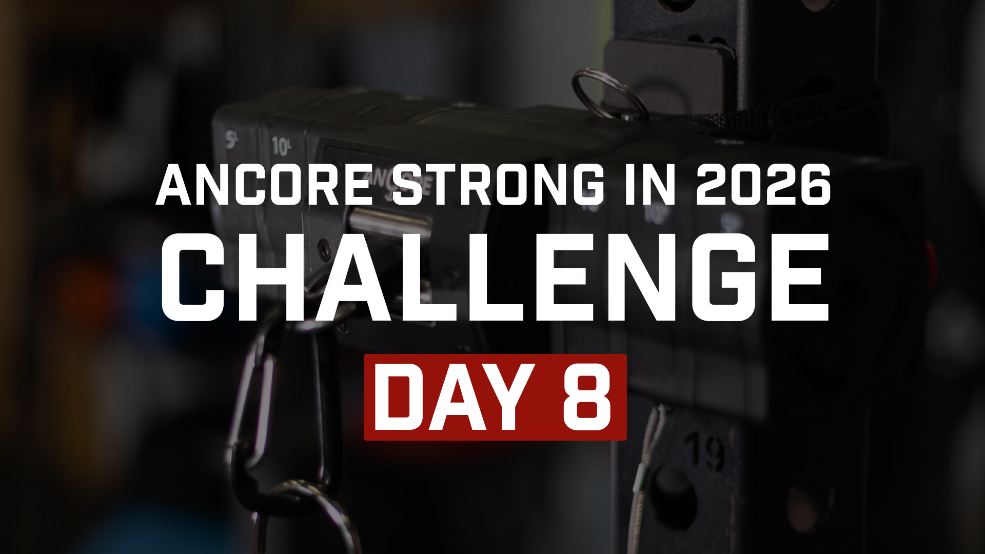 Day 8: Minute by Minute