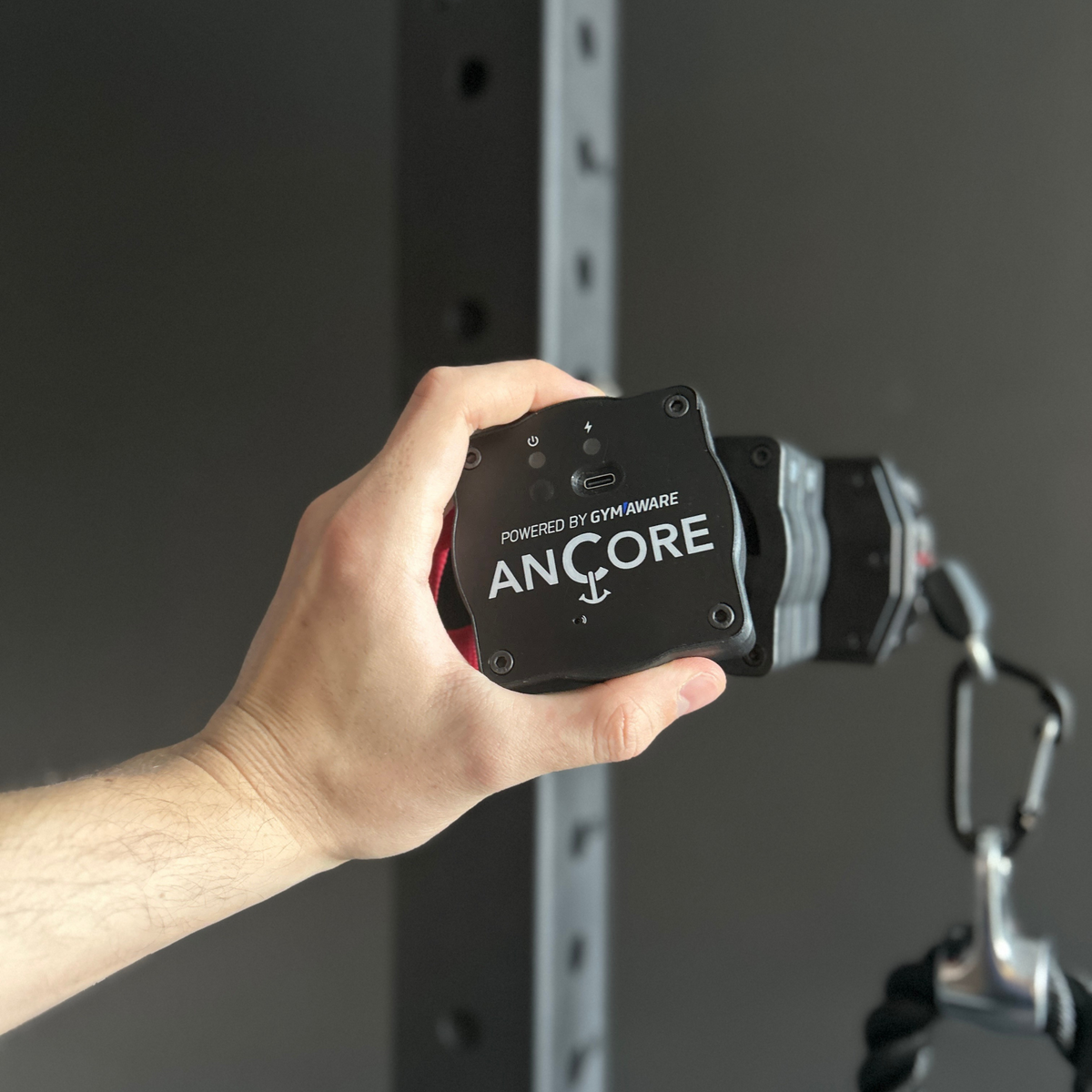 Data Plate – ANCORE