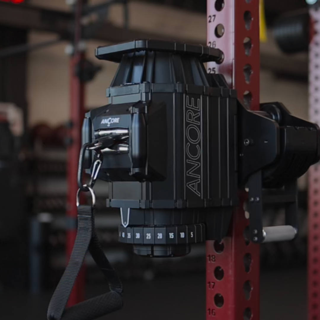 ANCOREX Facility Bundle