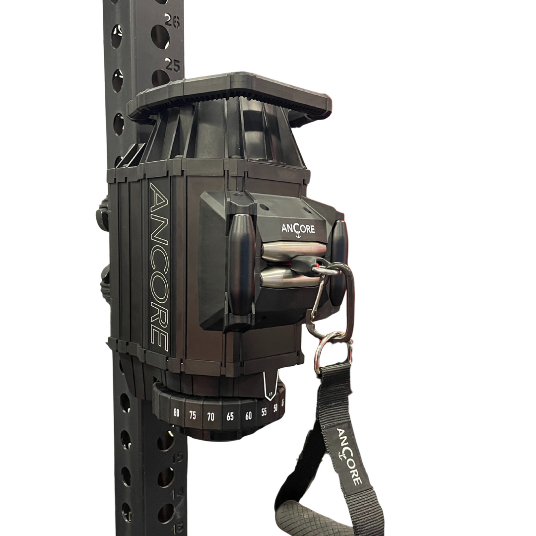 ANCOREX Facility Bundle