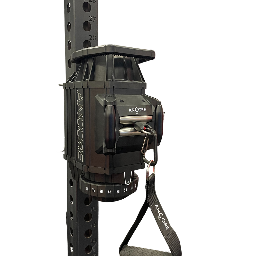 ANCOREX Facility Bundle