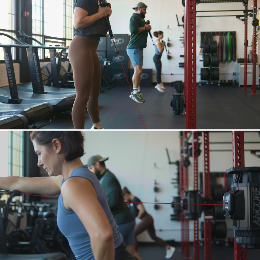 ANCOREX Facility Bundle