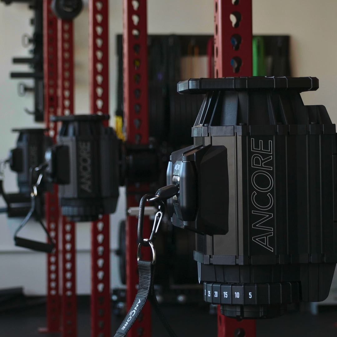 ANCOREX Facility Bundle