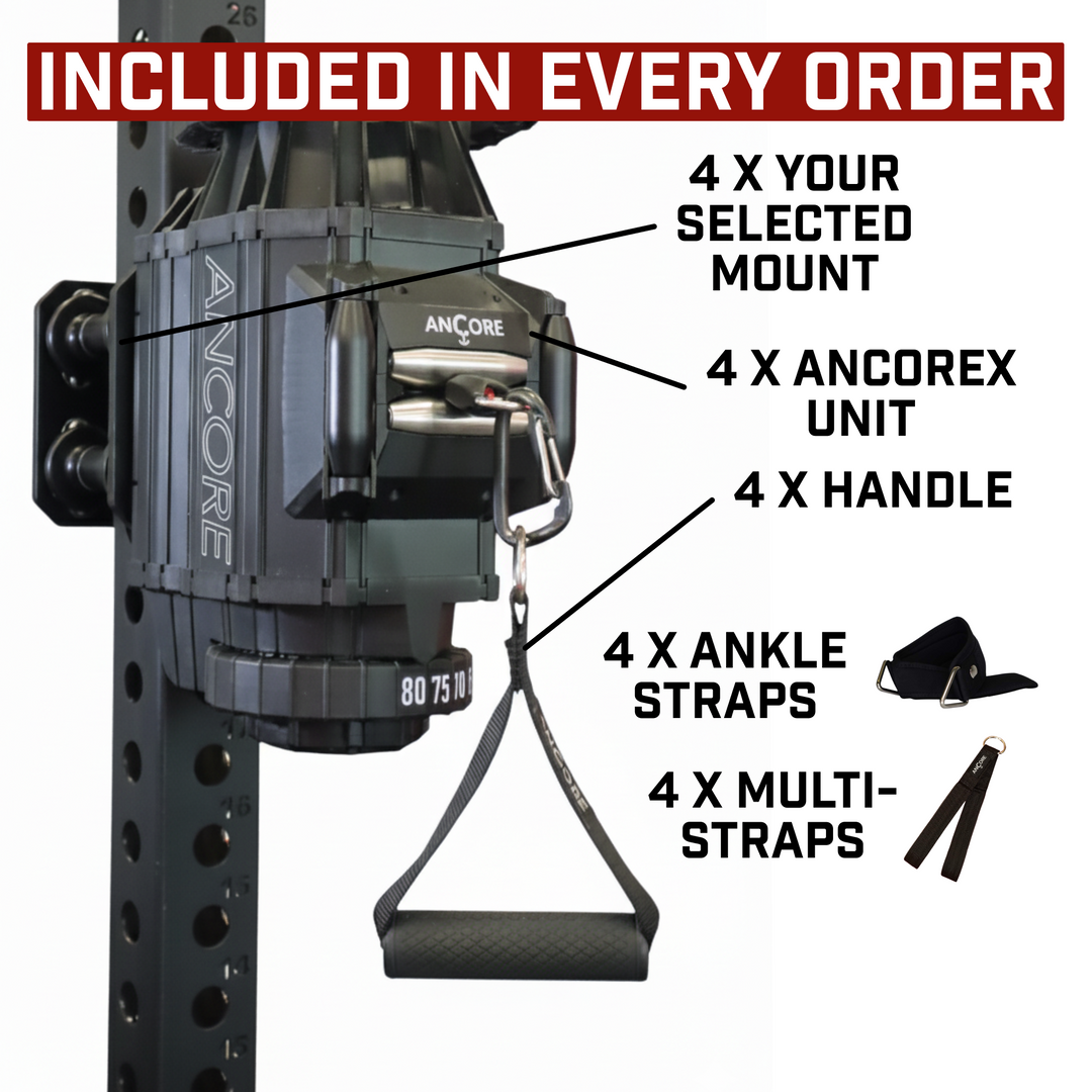 ANCOREX Facility Bundle